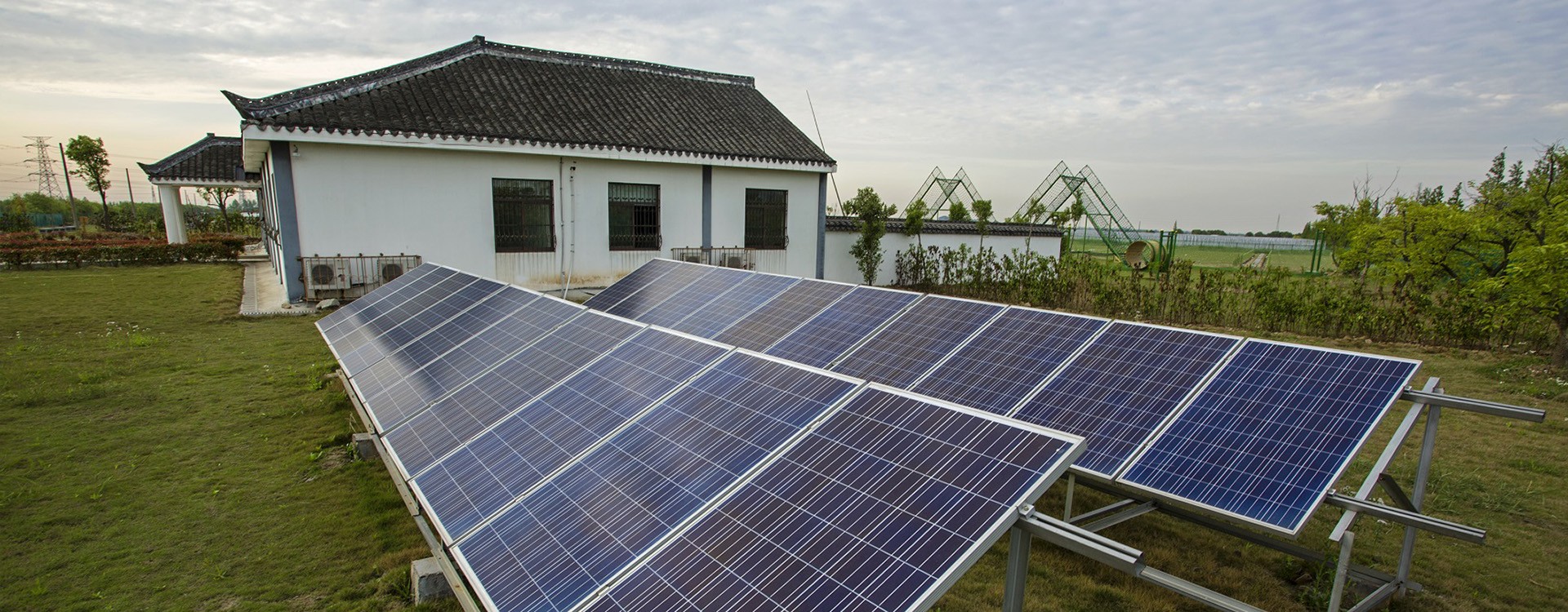 從田間地頭到餐桌的食品安全